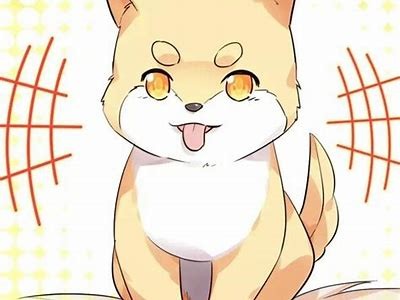 猫变成人形的动漫视频免费观看